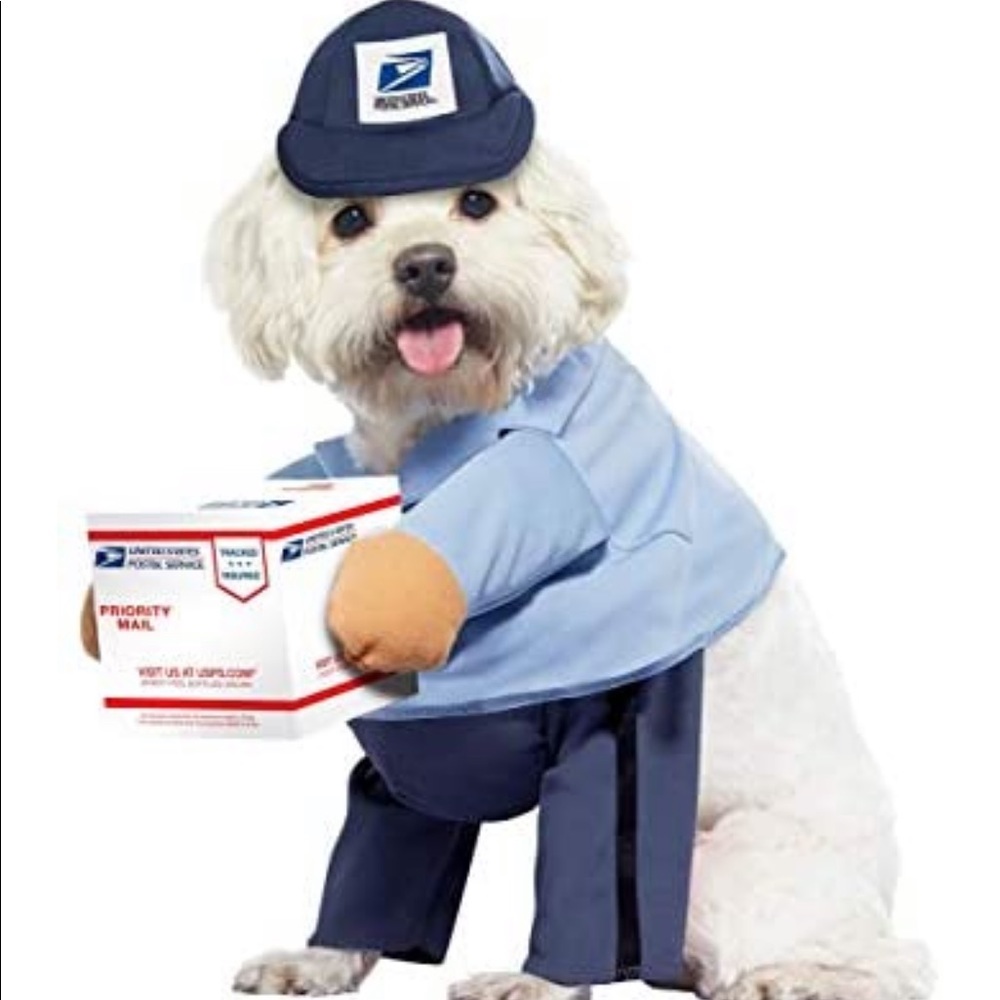California Costume Collection Mailman Small Pet Dog Halloween Costume